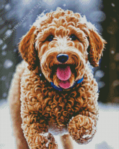 Labradoodle Puppy In Snow Diamond Painting