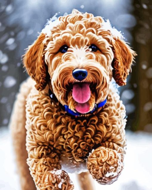 Labradoodle Puppy In Snow Diamond Painting