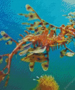 Leafy Seadragon Diamond Painting