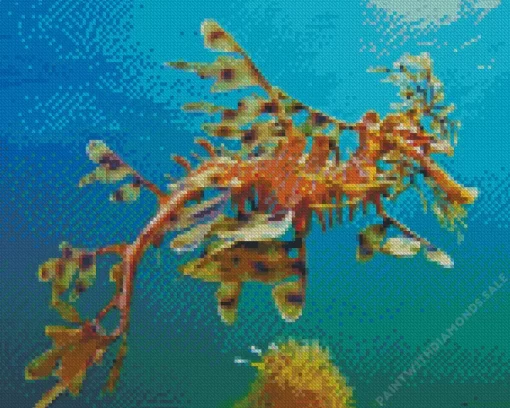 Leafy Seadragon Diamond Painting