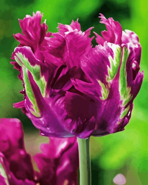 Purple Parrot Tulips Diamond Painting