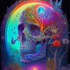 Psychedelic Skull Diamond Painting