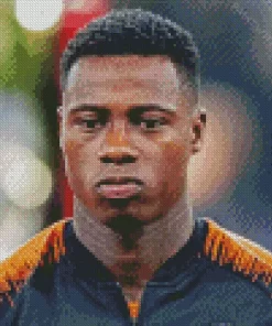 Quincy Promes Diamond Painting