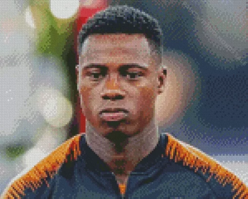 Quincy Promes Diamond Painting