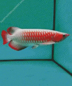 Red Asian Arowana Diamond Painting