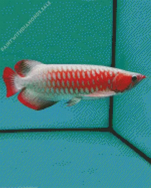 Red Asian Arowana Diamond Painting