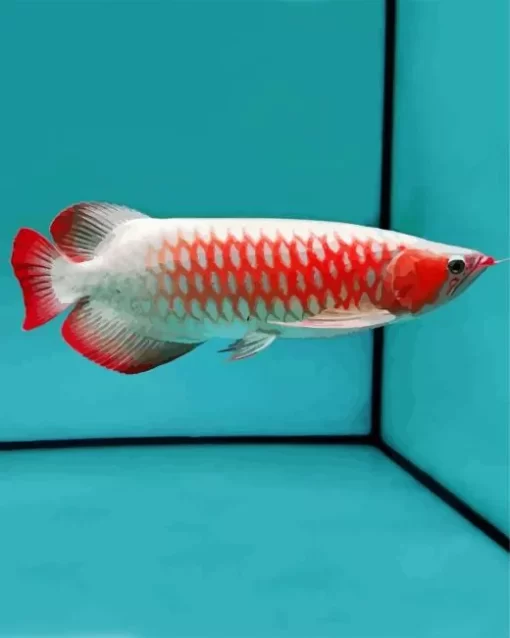 Red Asian Arowana Diamond Painting