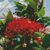 Red Pohutukawa Diamond Painting