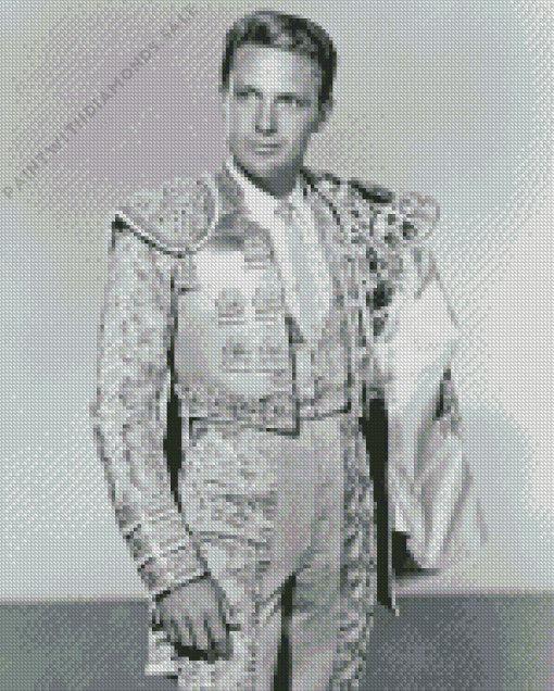 Robert Stack Actor Diamond Painting