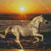 Running Horse Diamond Painting