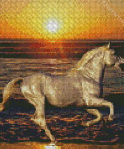 Running Horse Diamond Painting