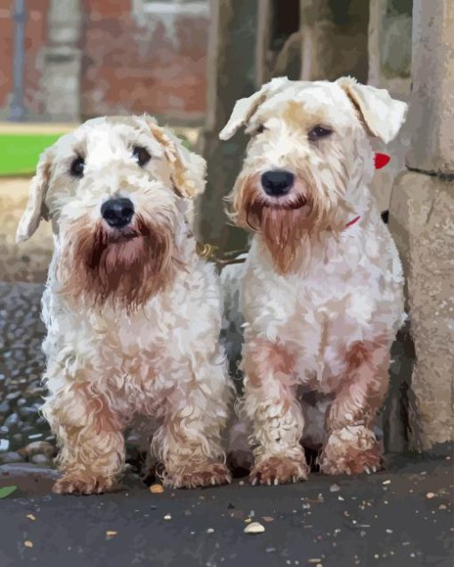 Sealyham Terriers Diamond Painting