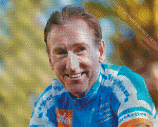 Sean Kelly Diamond Painting