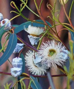 Tasmanian Blue Gum Diamond Painting