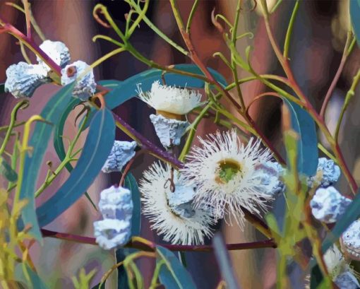 Tasmanian Blue Gum Diamond Painting