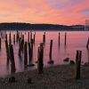 Titlow Park Washington Tacoma Diamond Painting