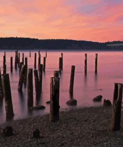 Titlow Park Washington Tacoma Diamond Painting