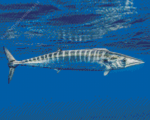 Wahoo Diamond Painting