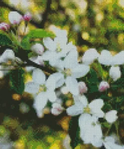 White Crabapple Diamond Painting