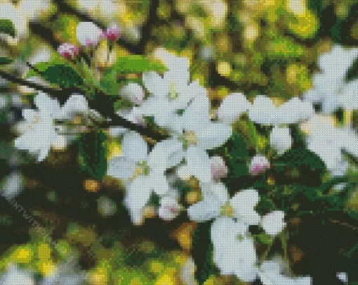 White Crabapple Diamond Painting