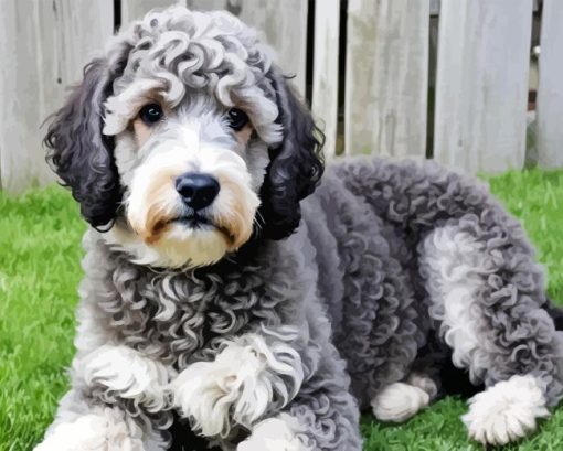 White Grey Labradoodle Puppy Diamond Painting