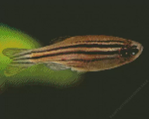 Zebrafish Diamond Painting