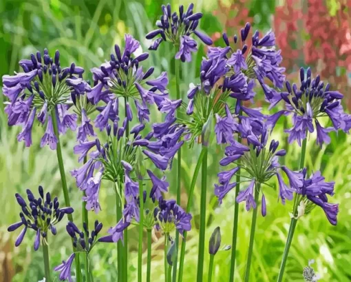 Agapanthus Diamond Painting