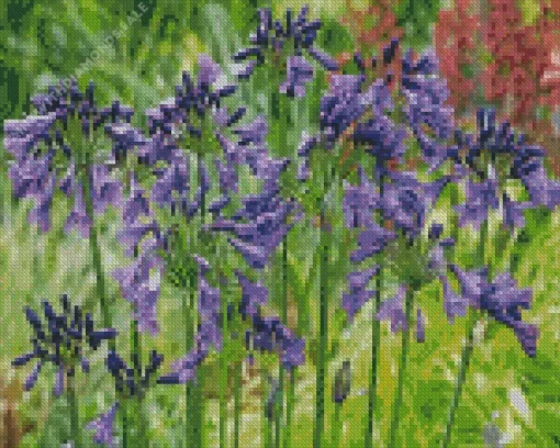 Agapanthus Diamond Painting