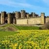 Alnwick Castle Diamond Painting