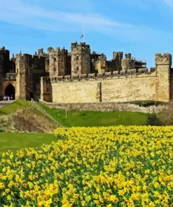 Alnwick Castle Diamond Painting