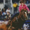 Barrel Racer Diamond Painting