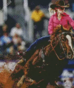 Barrel Racer Diamond Painting