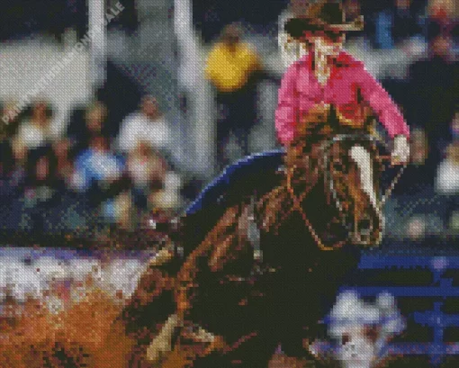 Barrel Racer Diamond Painting