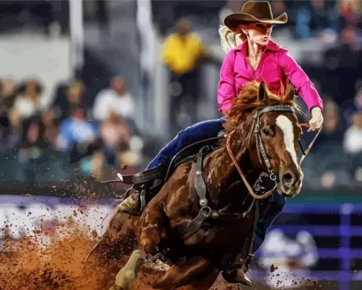 Barrel Racer Diamond Painting