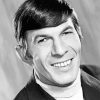 Black And White Leonard Nimoy Diamond Painting