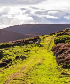 Cairngorm Art Diamond Painting