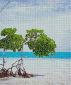 Caye Caulker Diamond Painting