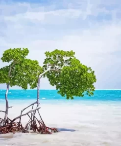 Caye Caulker Diamond Painting