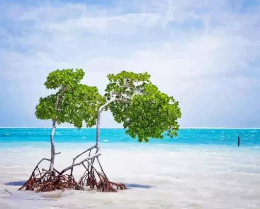 Caye Caulker Diamond Painting