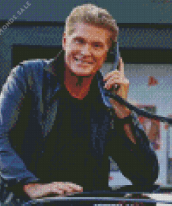 David Hasselhoff Actor Diamond Painting