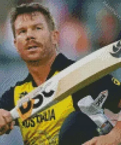 David Warner Diamond Painting