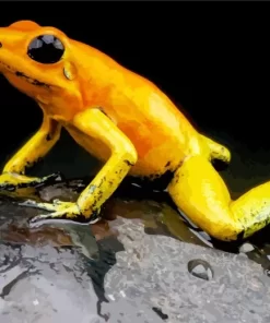 Golden Poison Frog Diamond Painting