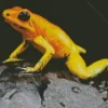 Golden Poison Frog Diamond Painting