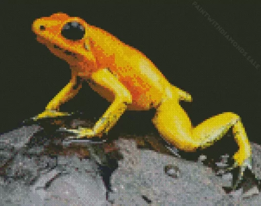 Golden Poison Frog Diamond Painting