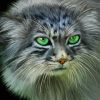 Green Eyed Pallas Cat Diamond Painting