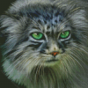 Green Eyed Pallas Cat Diamond Painting