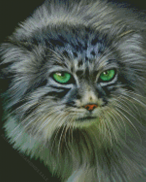 Green Eyed Pallas Cat Diamond Painting