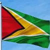 Guyana Flag Diamond Painting