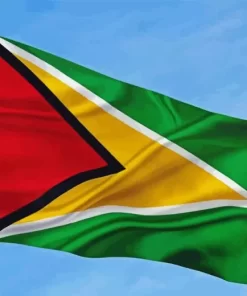 Guyana Flag Diamond Painting