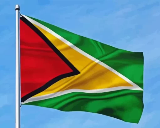 Guyana Flag Diamond Painting